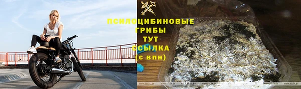 амф Бородино