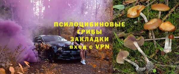 амф Бородино