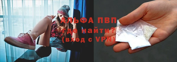 амф Бородино