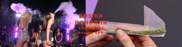 амф Бородино