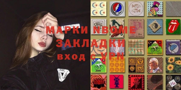 амф Бородино