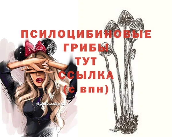 spice Бронницы