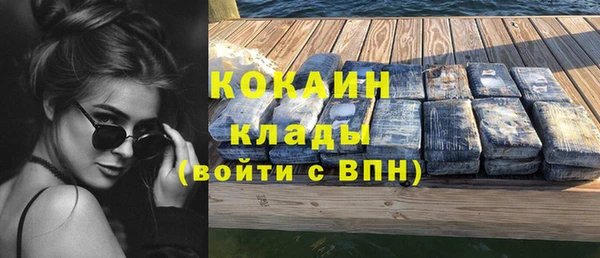 амф Бородино