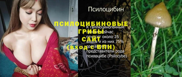 2c-b Семилуки