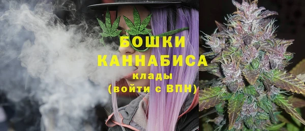 spice Бронницы