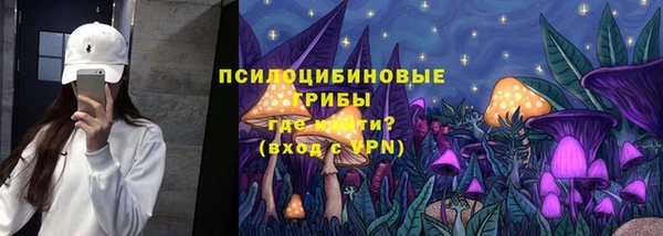 амф Бородино