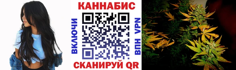 Марихуана Amnesia  Кондопога 